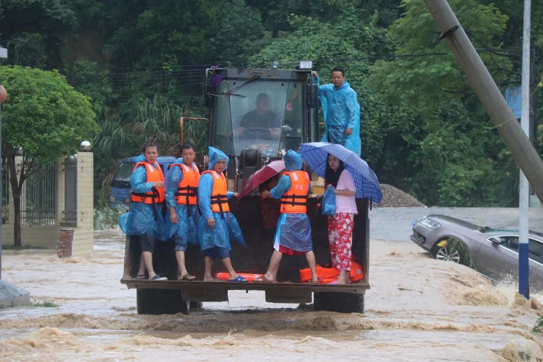 富硒富锌大米武功稻香（富硒稻花香大米）-硒宝网