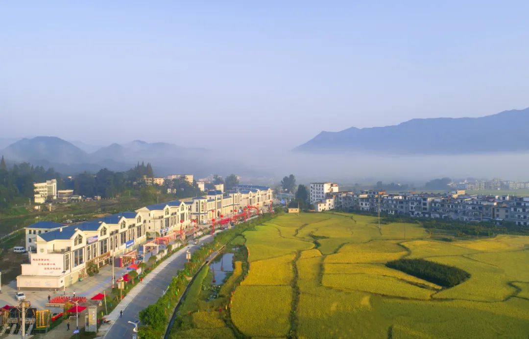 富硒富锌大米武功稻香（富硒稻花香大米）-硒宝网