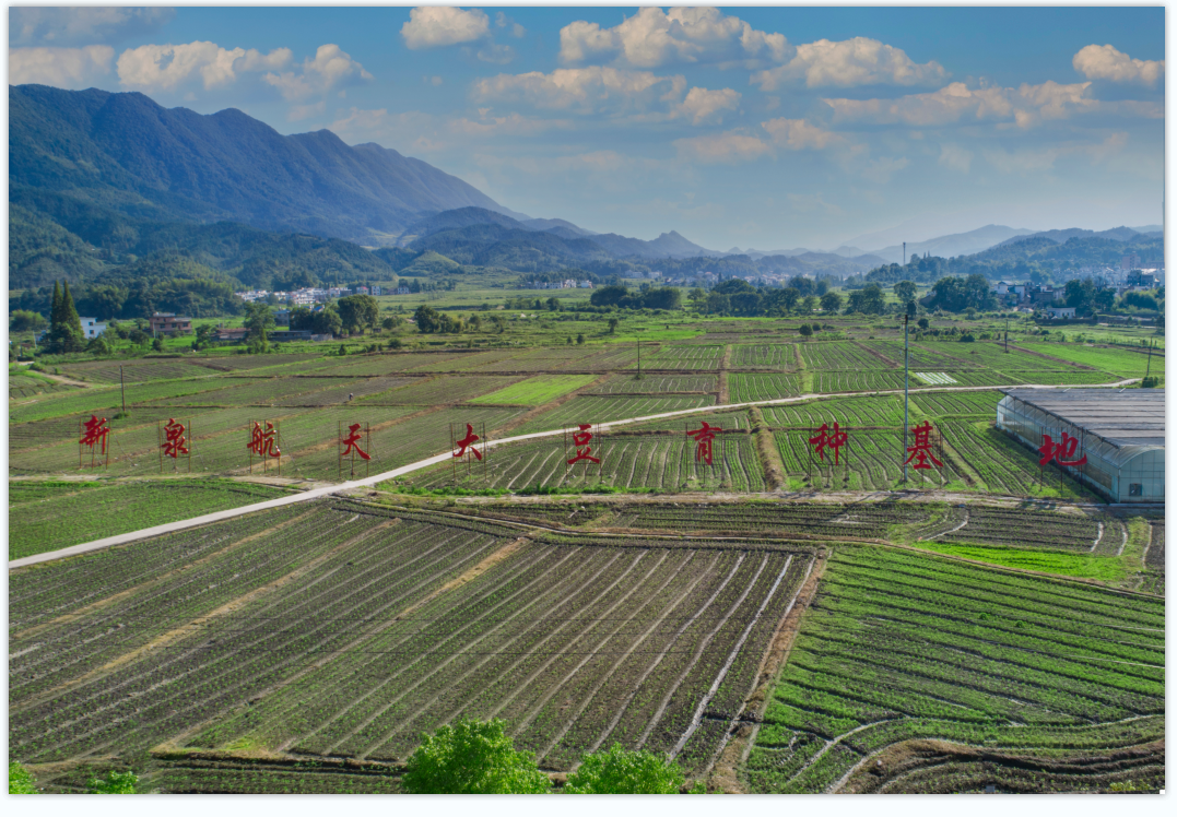 富硒富锌大米武功稻香（富硒稻花香大米）-硒宝网