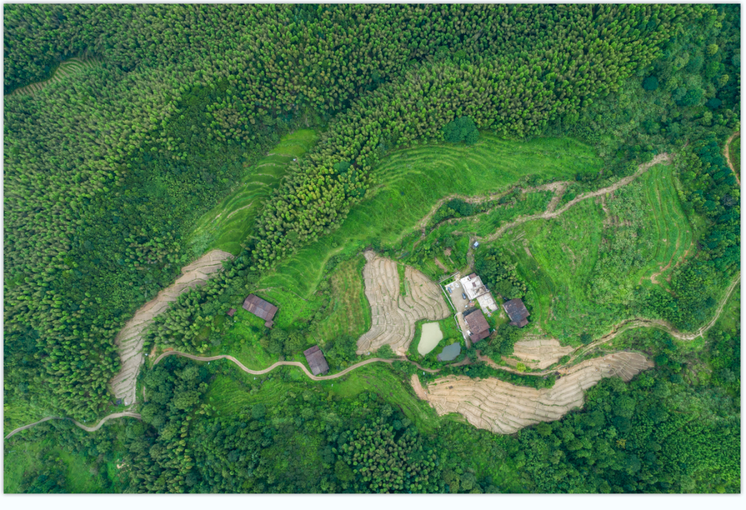 富硒富锌大米武功稻香（富硒稻花香大米）-硒宝网