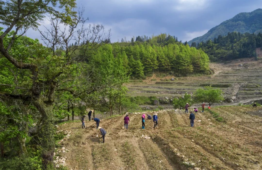 富硒富锌大米武功稻香（富硒稻花香大米）-硒宝网