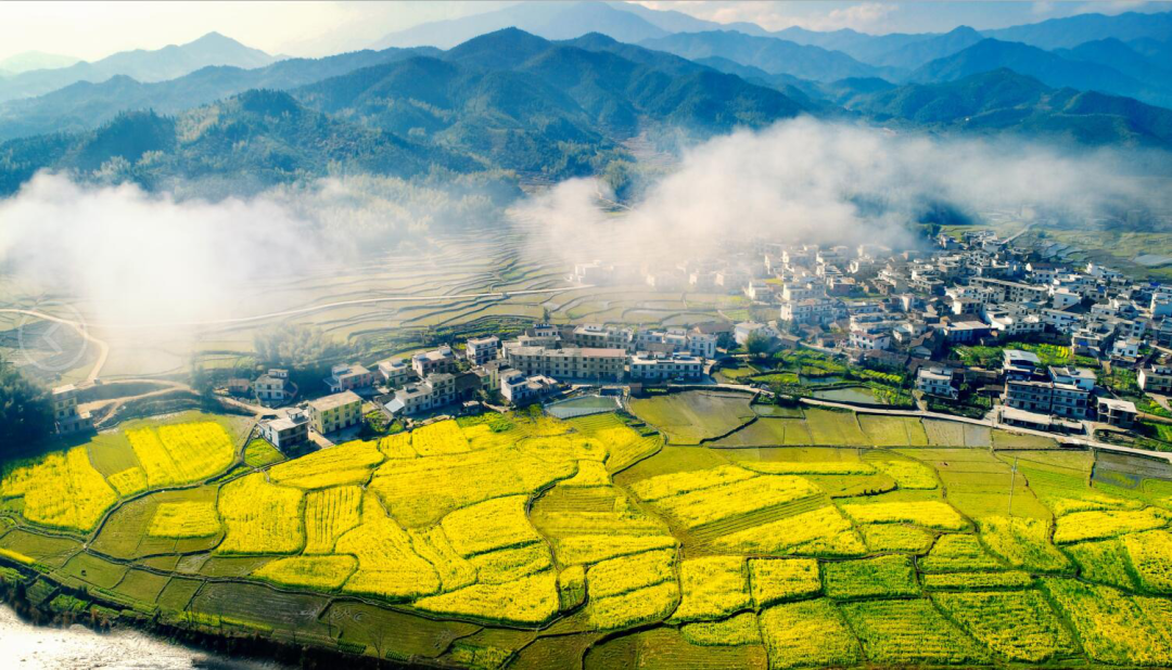 富硒富锌大米武功稻香（富硒稻花香大米）-硒宝网