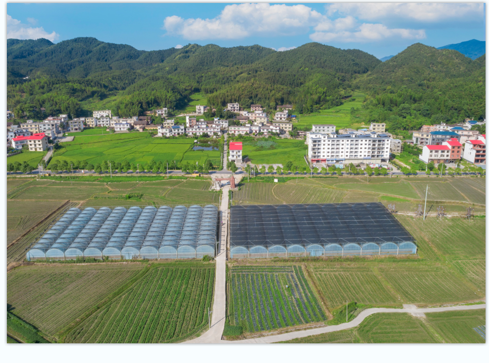 富硒富锌大米武功稻香（富硒稻花香大米）-硒宝网