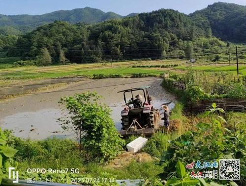 宜春温汤硒品富硒大米（江西宜春温汤富硒大米）-硒宝网