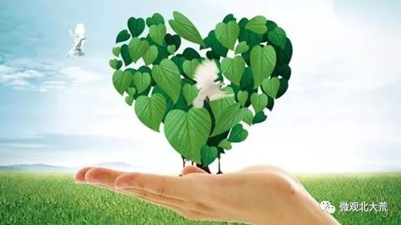 沈阳富硒大米种植基地（沈阳批发大米的在哪）-硒宝网