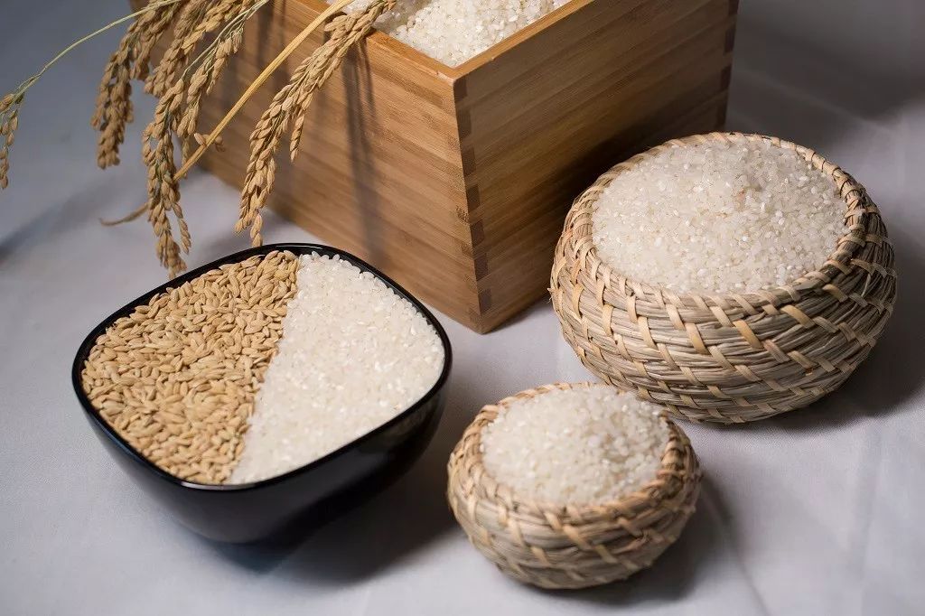 江苏如皋长寿富硒大米(苏皋长寿富硒大米价格)-硒宝网