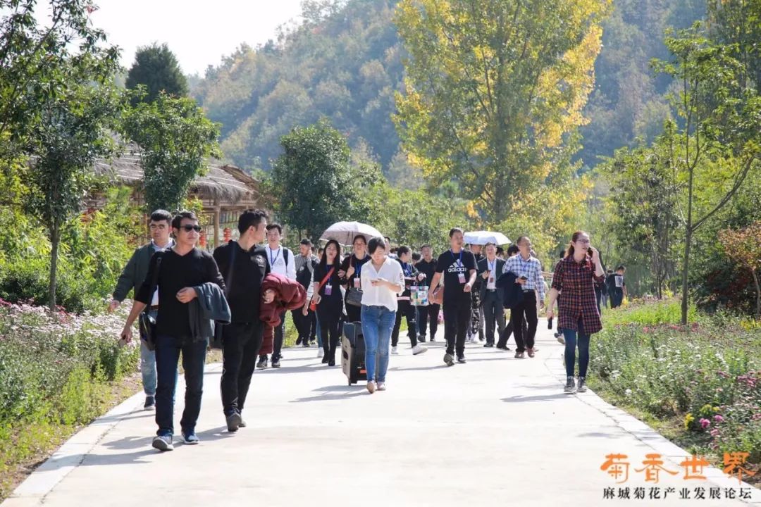 京山富硒大米产自哪里(富硒优质大米)-硒宝网