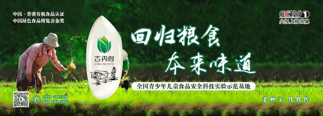 京山富硒大米产自哪里(富硒大米哪里产的好)-硒宝网