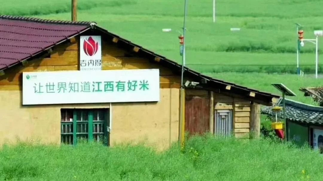 京山富硒大米产自哪里(富硒大米哪里产的好)-硒宝网