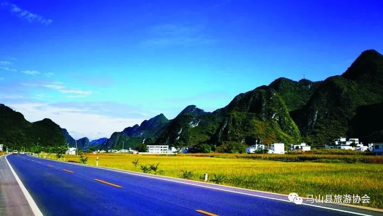 广西哪有富硒大米种植(大米广西种植富硒有哪些品种)-硒宝网