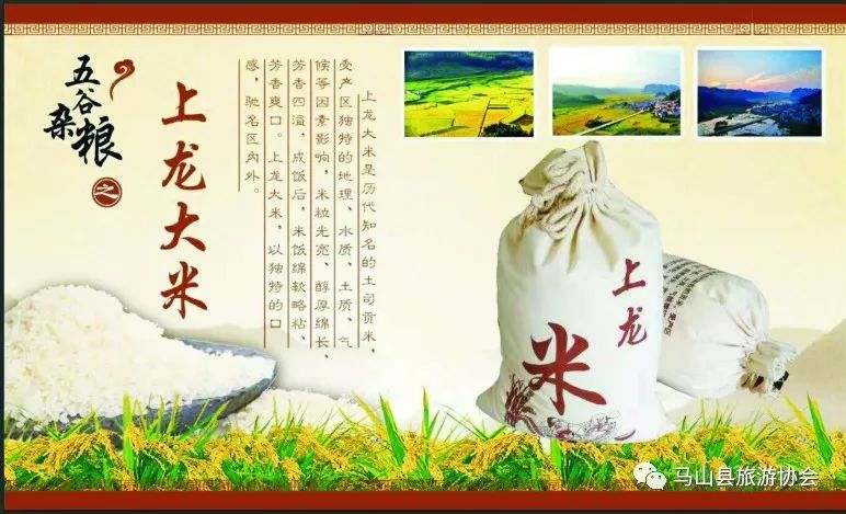 广西哪有富硒大米种植(大米广西种植富硒有哪些品种)-硒宝网