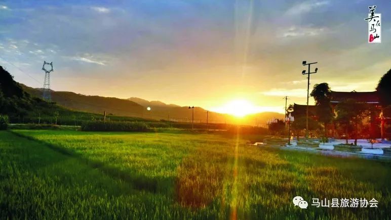 广西哪有富硒大米种植(大米广西种植富硒有哪些品种)-硒宝网