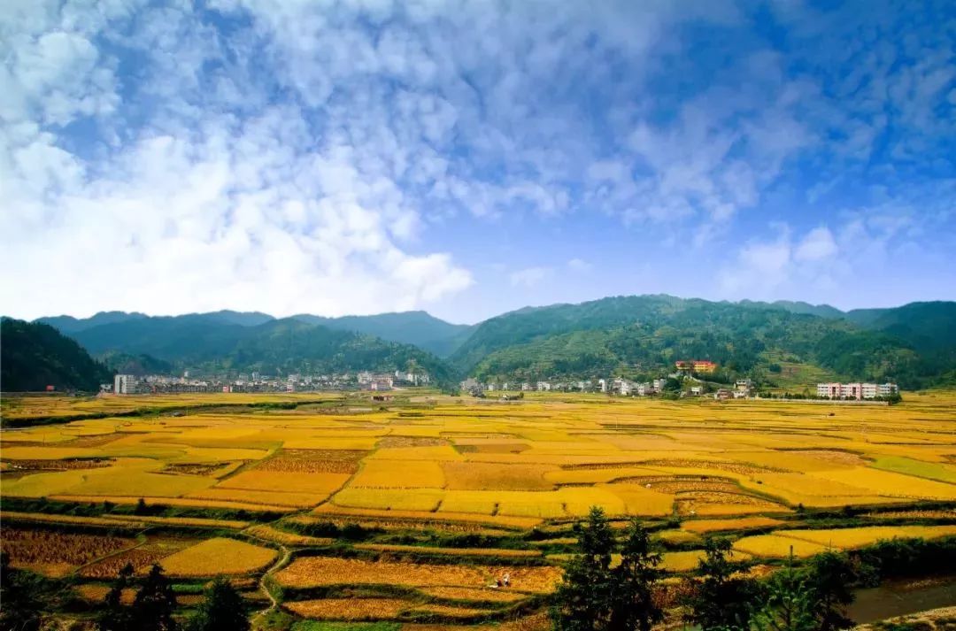 江西宜春富硒大米得奖（江西宜春大米怎么样）-硒宝网