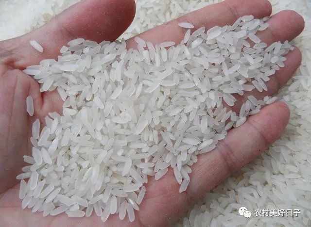 东北富硒大米种植价格（东北富硒大米的营养价值和功效）-硒宝网