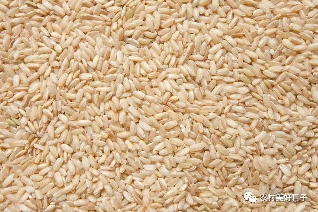 东北富硒大米种植价格（东北富硒大米的营养价值和功效）-硒宝网