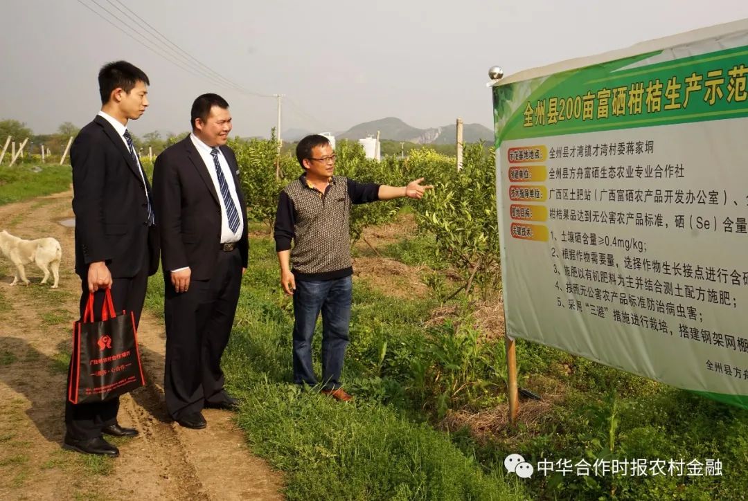广西哪有富硒大米种植(广西富硒米产地)-硒宝网