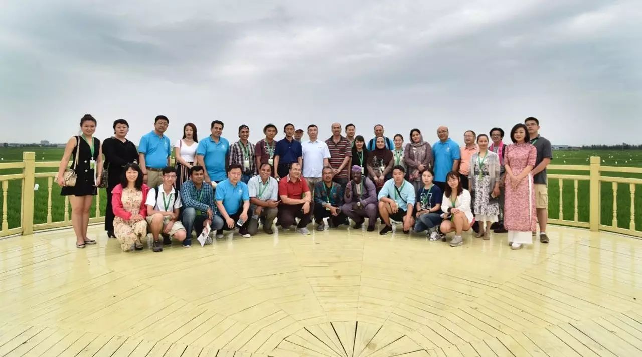 东北富硒大米种植价格(东北大米种植基地)-硒宝网