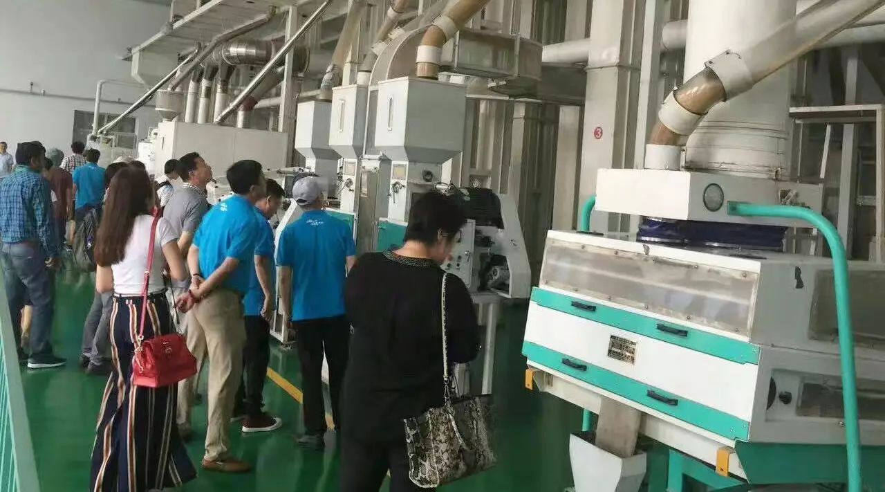 东北富硒大米种植价格(东北大米种植基地)-硒宝网