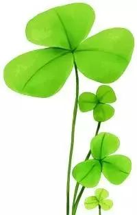 高山梯田富硒有机大米（梯田大米好吃吗）-硒宝网