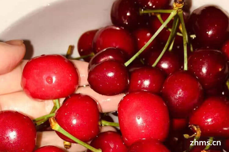 什么东西补铁(补铁补补上来怎么办)-硒宝网