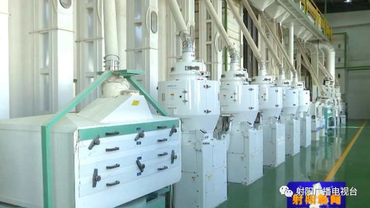 上海有机富硒大米品质(佳品富硒大米)-硒宝网