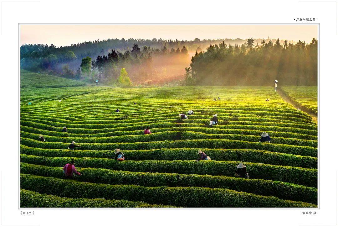 宜春富硒大米建设条件（宜春含硒大米）-硒宝网