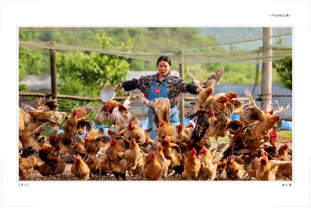 宜春富硒大米建设条件（宜春含硒大米）-硒宝网