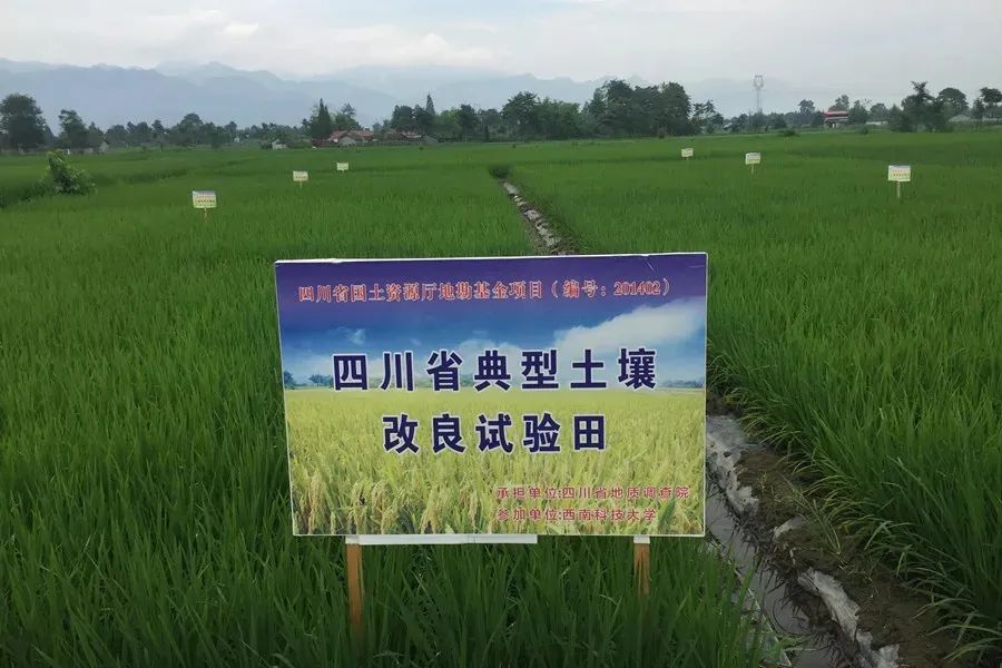 成都富硒大米产地运行（富硒大米哪里生产最好）-硒宝网