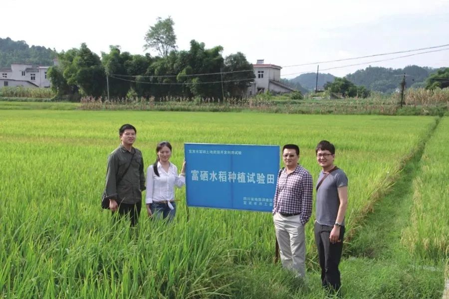 成都富硒大米产地运行（富硒大米哪里生产最好）-硒宝网