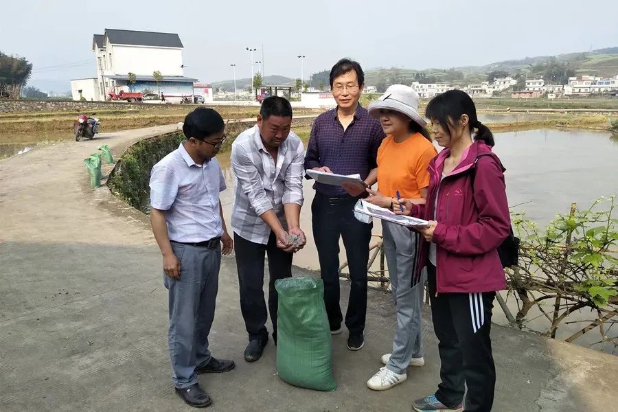 成都富硒大米产地运行（富硒大米哪里生产最好）-硒宝网