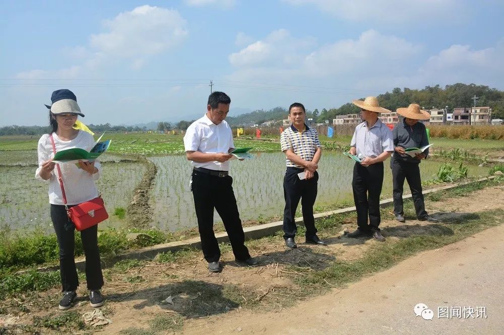 有机富硒大米种植流程(富硒大米种植成本)-硒宝网