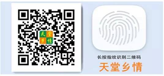 有机富硒大米种植流程(富硒大米种植成本)-硒宝网