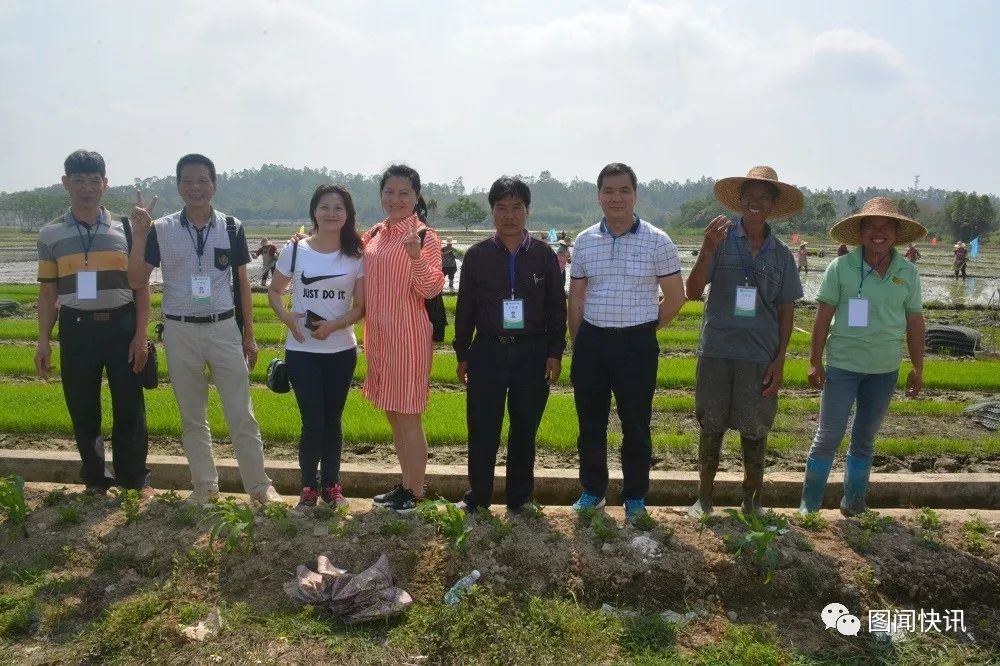 有机富硒大米种植流程(富硒大米种植成本)-硒宝网