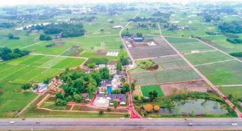 成都富硒大米产地运行(四川富硒大米)-硒宝网