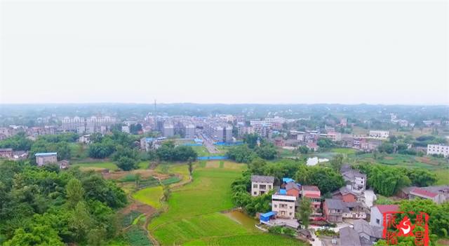 成都富硒大米产地运行(成都大米厂家)-硒宝网