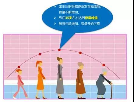 中年人补钙的最好方法（中年补钙的正确方法）-硒宝网