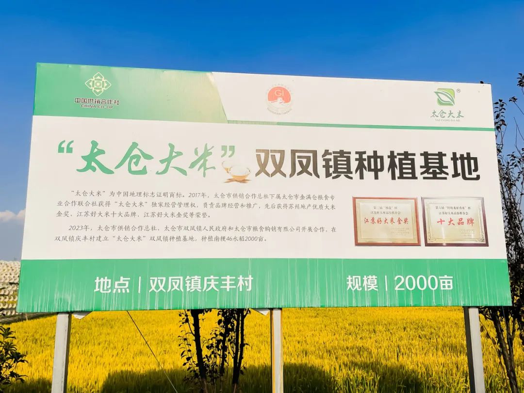 江苏富硒大米含量标准(大米含量江苏标准富硒多少)-硒宝网