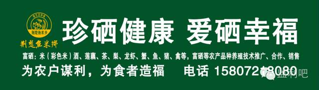 江苏富硒大米含量标准（富硒大米的执行标准）-硒宝网