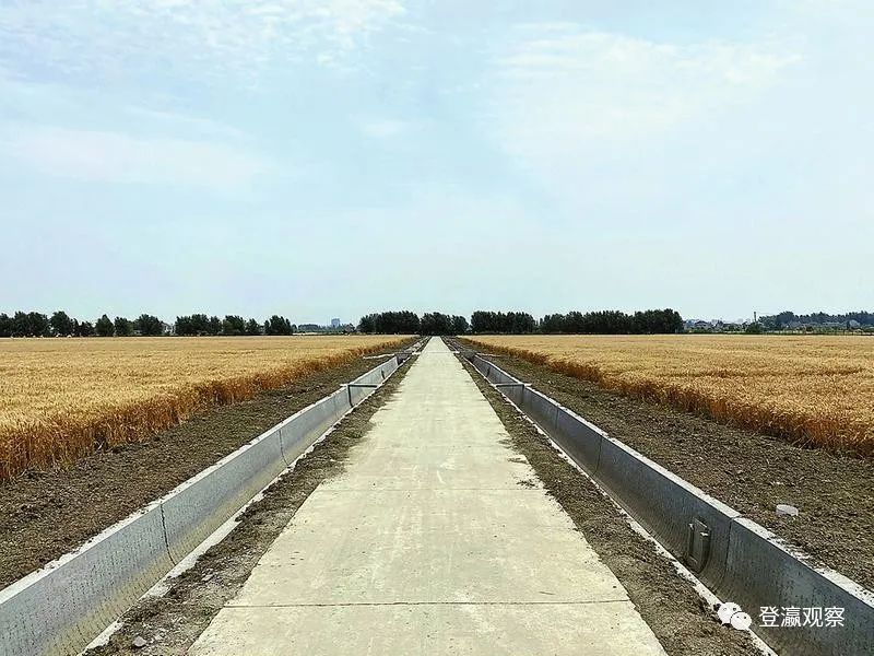 射阳富硒大米生长周期（富硒大米种植）-硒宝网