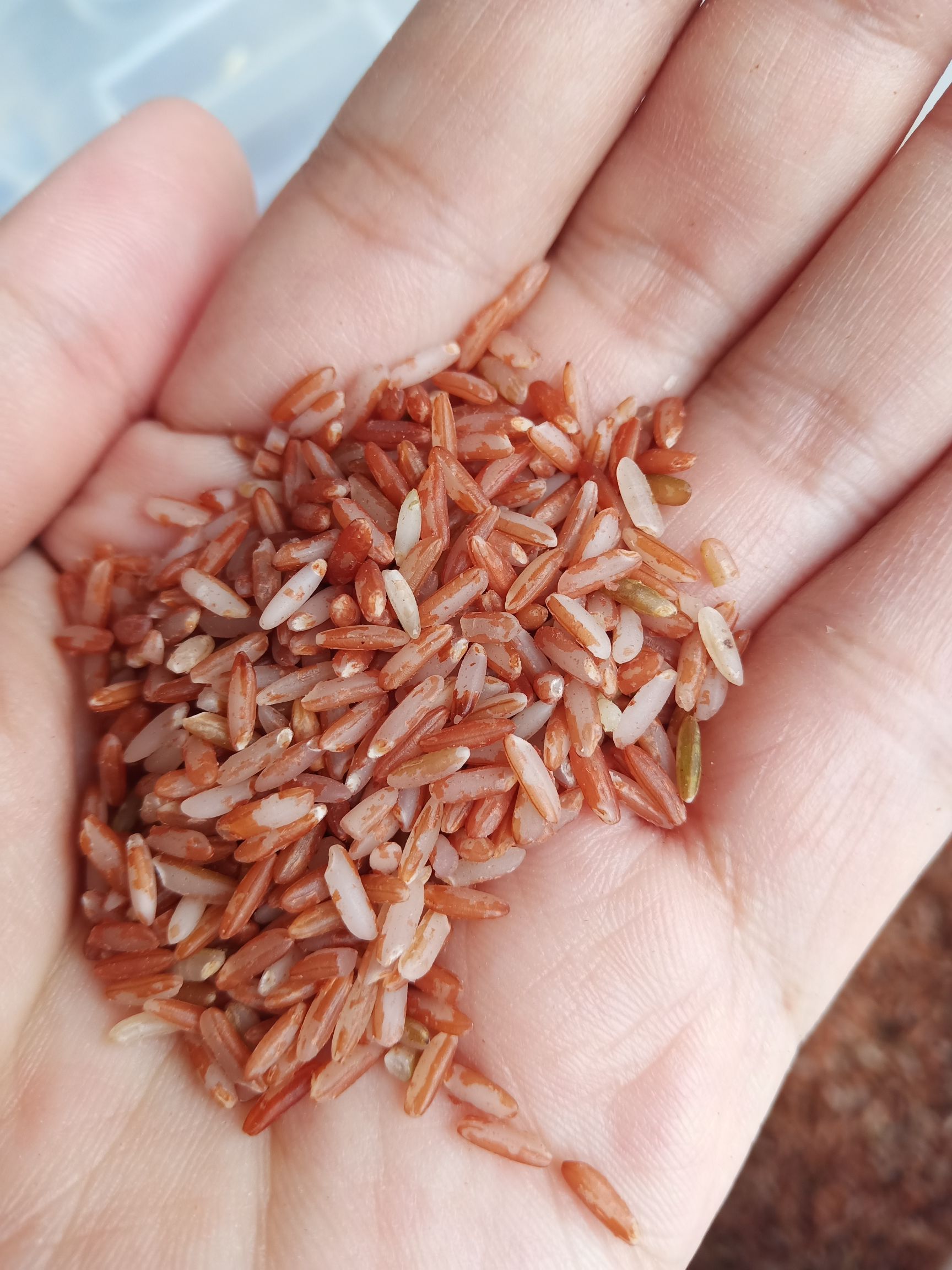 宜春富硒大米执行标准（宜春富硒大米品牌）-硒宝网