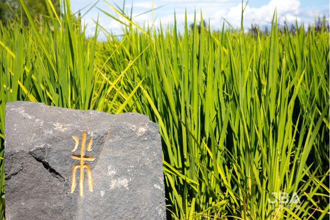 周杰东北农场富硒大米（东北大米供货厂家电话）-硒宝网