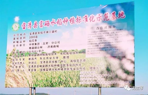 宝清富硒大米生长环境(富硒大米包装简介)-硒宝网