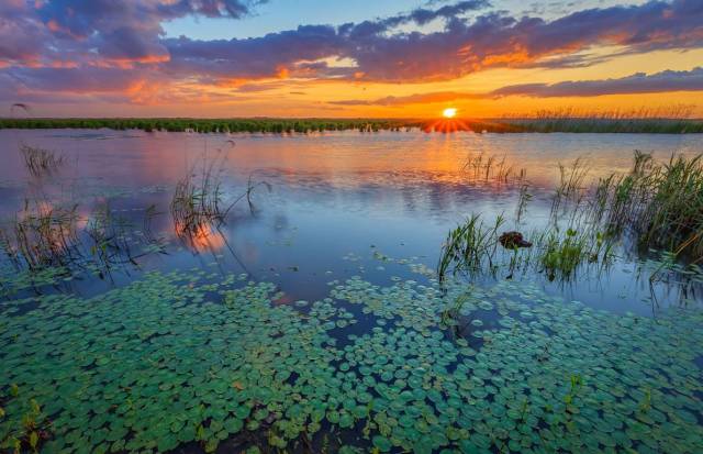 宝清富硒大米生长环境(富硒大米的保质期)-硒宝网