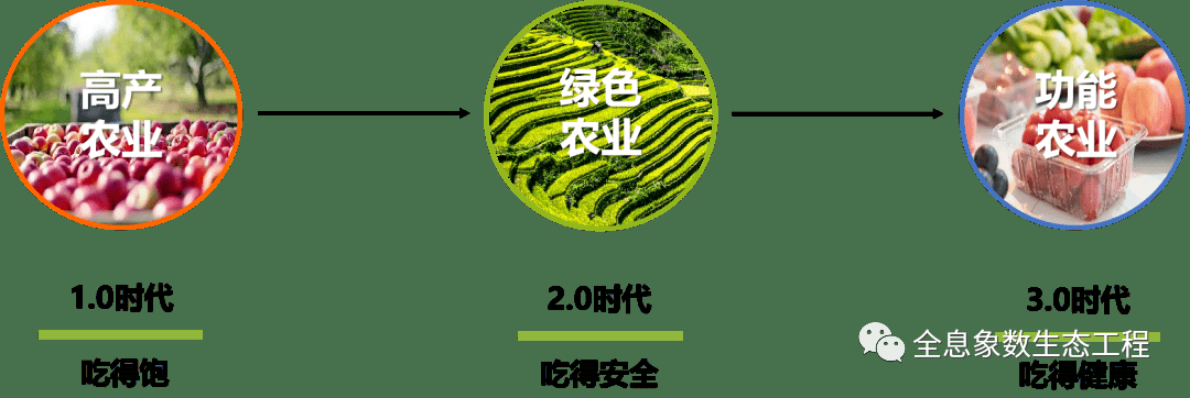 富硒大米比例多少合适（大米合适比例富硒多少）-硒宝网