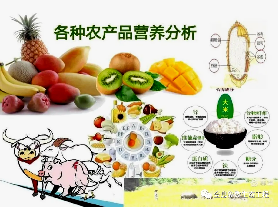 富硒大米比例多少合适（大米合适比例富硒多少）-硒宝网