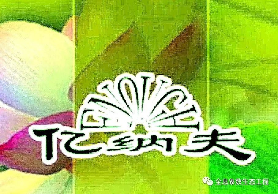 富硒大米比例多少合适（大米合适比例富硒多少）-硒宝网