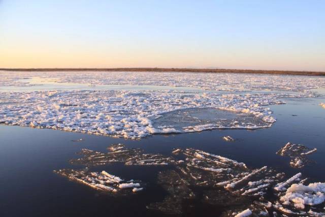 沈阳富硒大米种植面积（沈阳富硒大米哪家好）-硒宝网