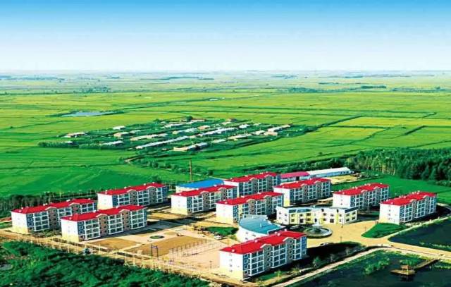 沈阳富硒大米种植面积（沈阳富硒大米哪家好）-硒宝网