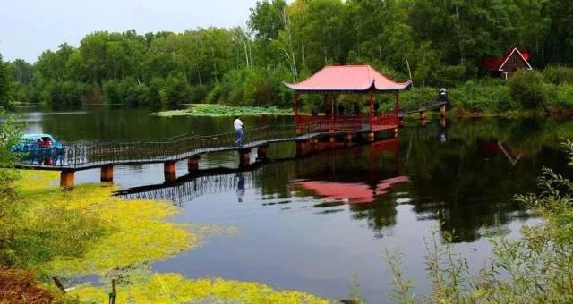 沈阳富硒大米种植面积（沈阳富硒大米哪家好）-硒宝网