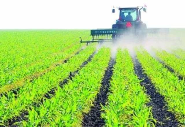 沈阳富硒大米种植面积（沈阳富硒大米哪家好）-硒宝网